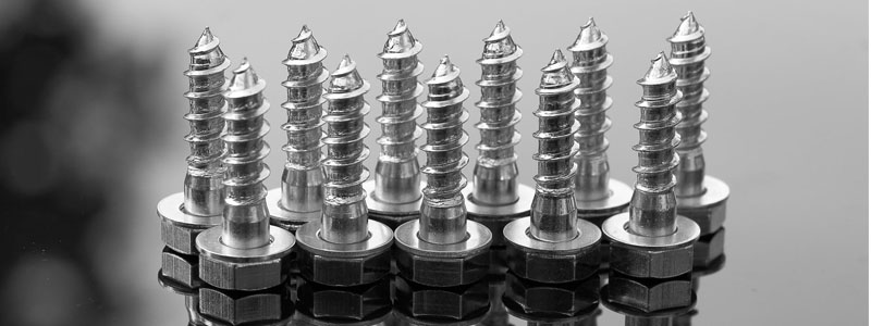 Screw Manufacturer in India