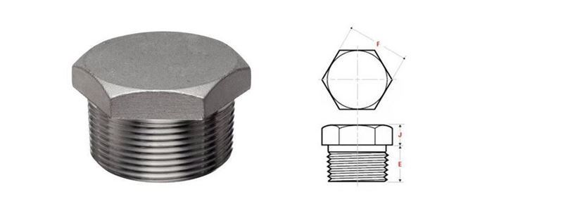 Forged Plug Fittings Manufacturer