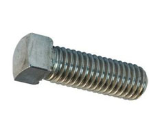 Square Head Bolt Manufacturer in India