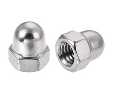 Acorn Nuts Manufacturer in India