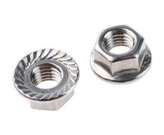 Flange Nuts Manufacturer in India