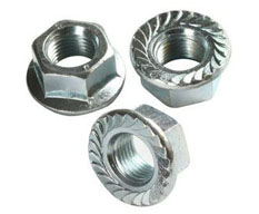 Hex Flange Nut-serrated Manufacturer in India