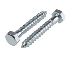 Coach Screw Manufacturer in India