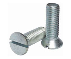 Flat Slot Cap Screw Manufacturer in India
