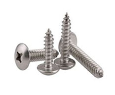 Truss Head Screw Manufacturer in India