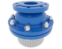 Foot Valves